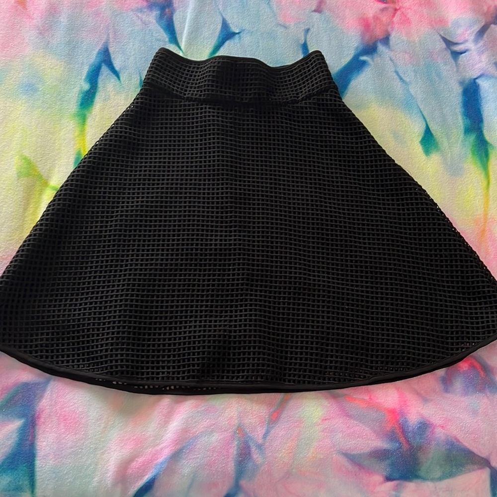 Club Monaco Skirt